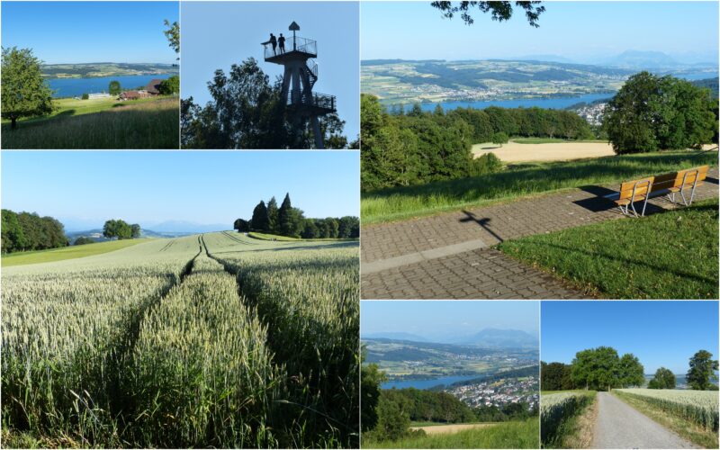 Der Sommer Quersatzein